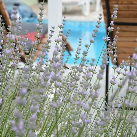 Villa Iva Kraj  Екстер'єр фото