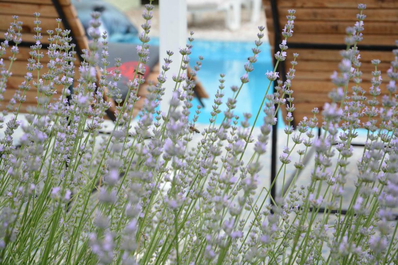 Villa Iva Kraj  Екстер'єр фото